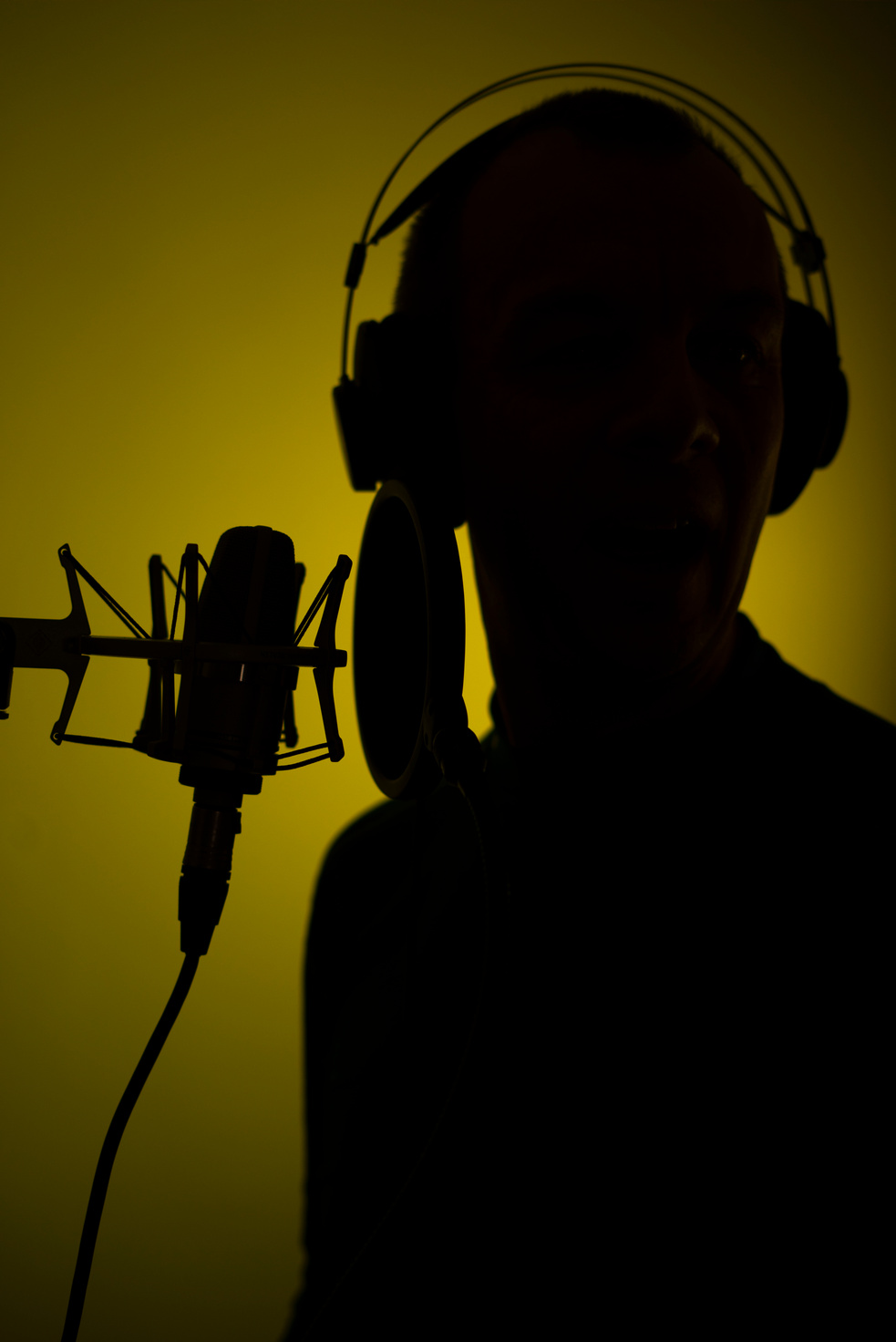 Voiceover Artist Voice Actor Studio