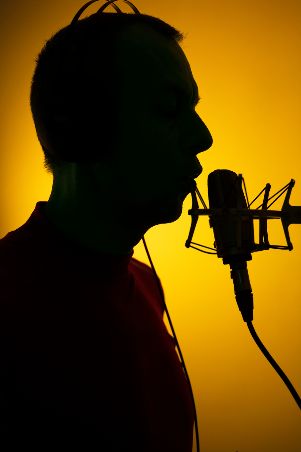 Voiceover Artist Voice Actor Studio