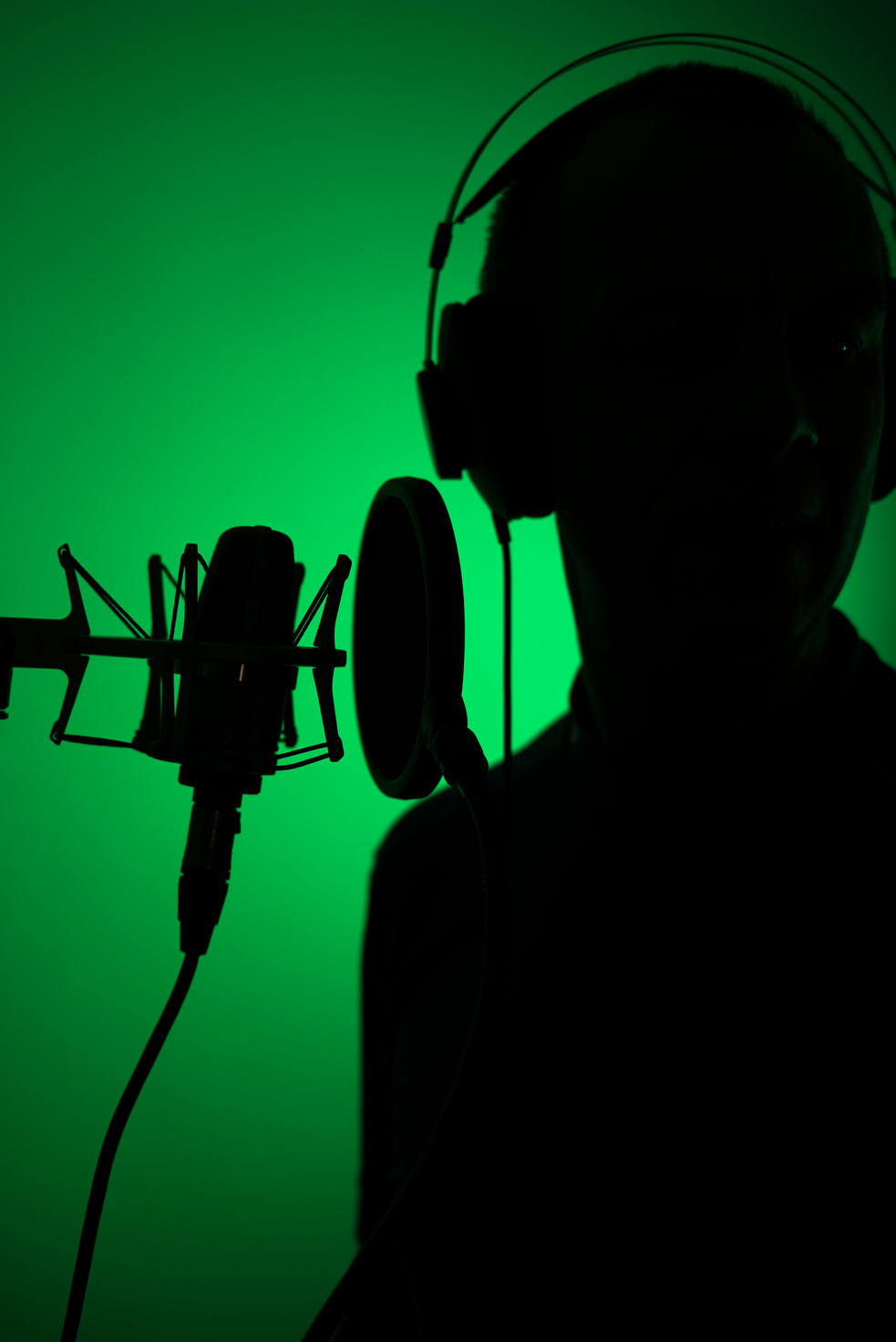 Voiceover Artist Voice Actor Studio